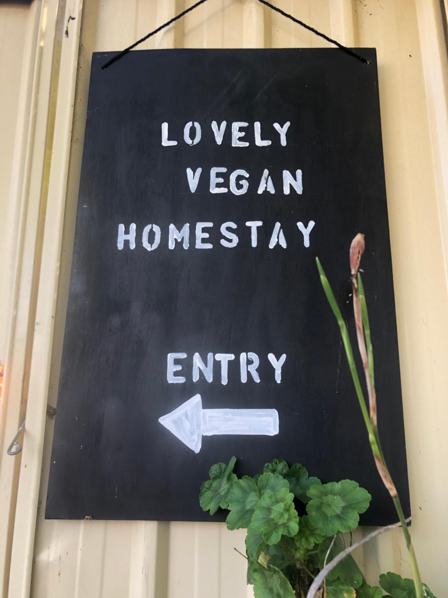 Lovely Budget Vegan Homestay Лонсестон Екстер'єр фото